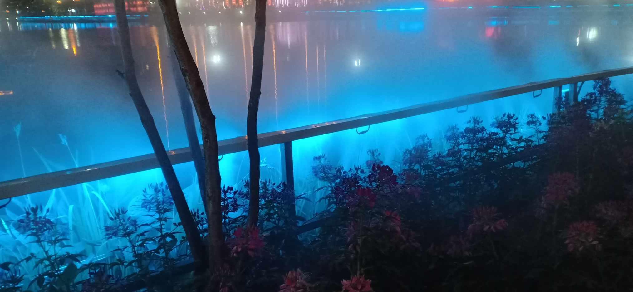 玛丽皇后的时装